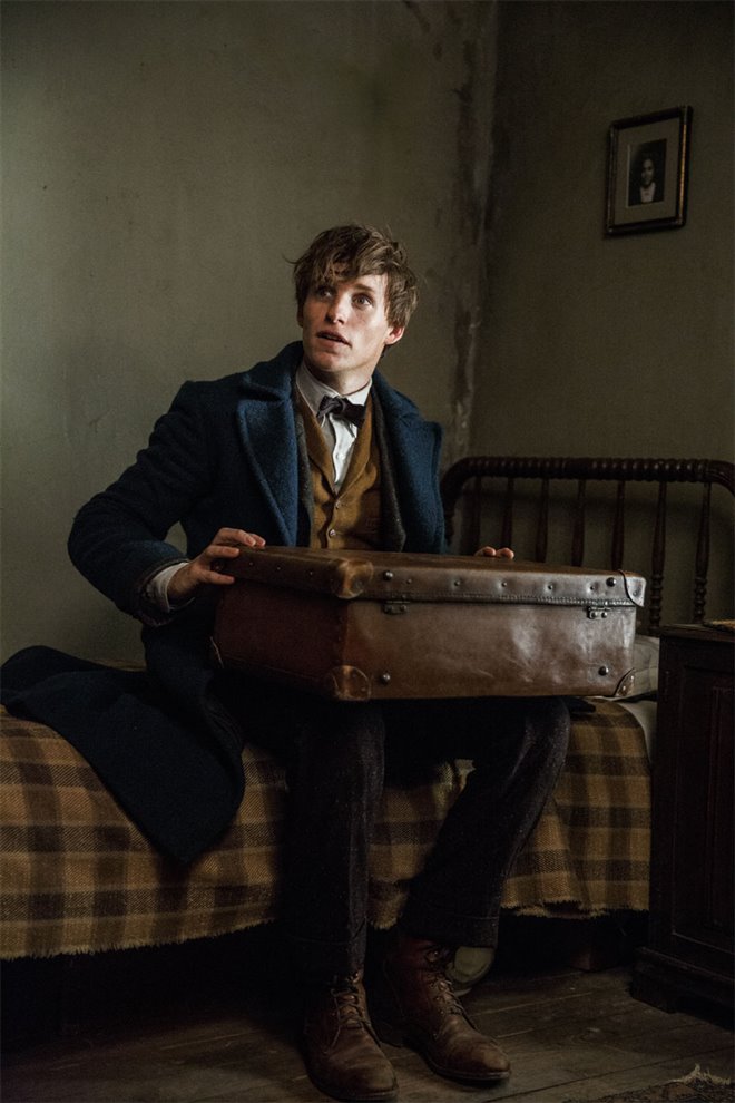 Fantastic Beasts and Where to Find Them Photo 61 - Large