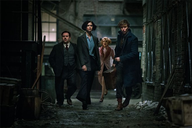 Fantastic Beasts and Where to Find Them Photo 23 - Large