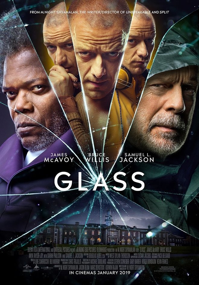 Glass Photo 27 - Large