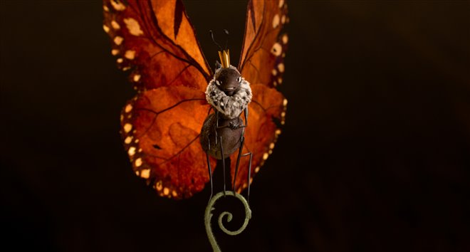 Hoppers Photo 15 - Large