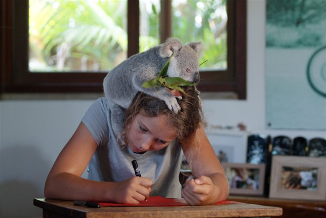 Izzy's Koala World (Netflix) Photo 1 - Large
