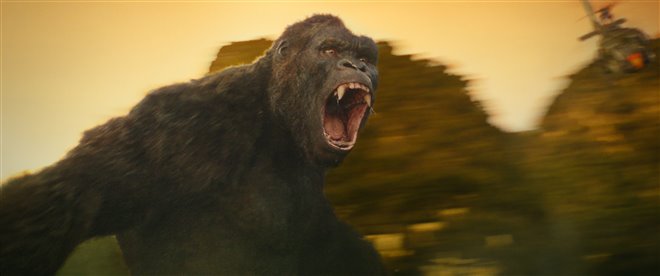 Kong: Skull Island Photo 17 - Large