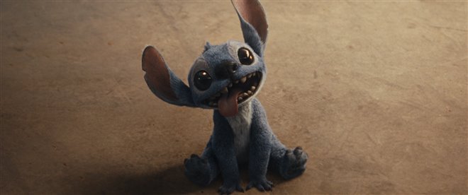 Lilo & Stitch Photo 11 - Large