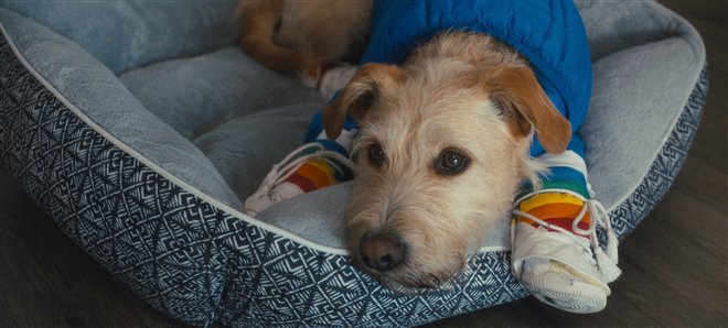 Merv (Prime Video) Photo 2 - Large