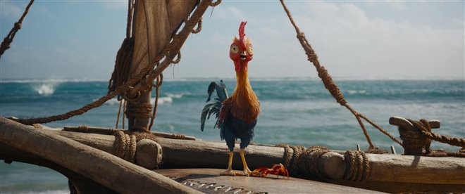 Moana Photo 12 - Large