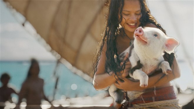 Moana Photo 19 - Large