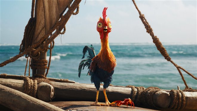 Moana Photo 21 - Large