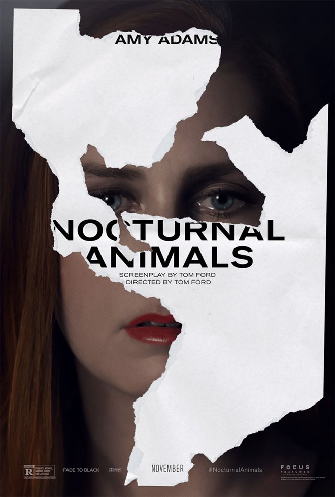 Nocturnal Animals Photo 4 - Large