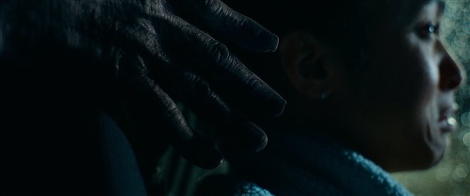 Passenger Photo 4 - Large