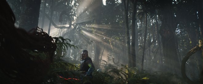 Predator: Badlands Photo 5 - Large