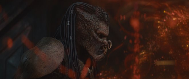 Predator: Badlands Photo 14 - Large