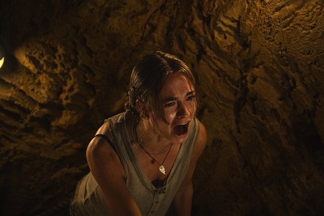 Primate Photo 1 - Large