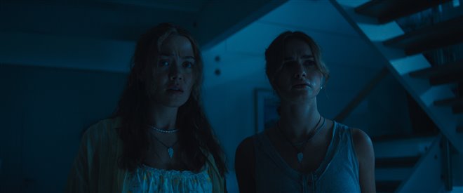 Primate Photo 6 - Large