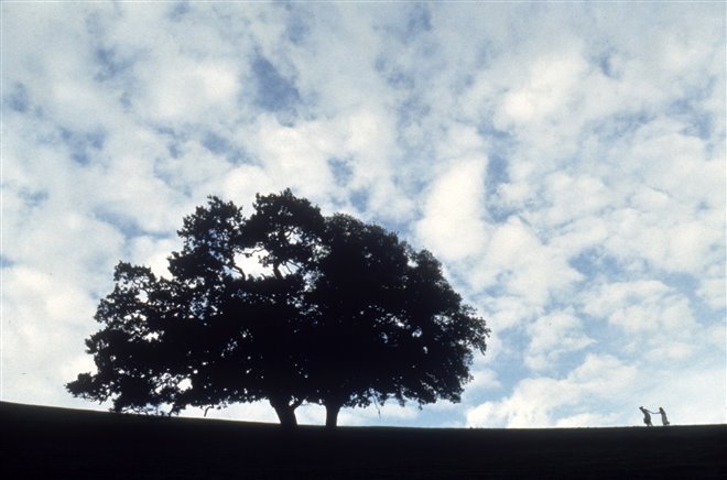 Sense and Sensibility Photo 27 - Large