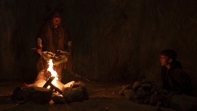 Shaman Photo 3 - Large