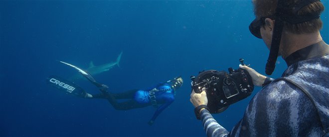 Shark Whisperer (Netflix) Photo 1 - Large