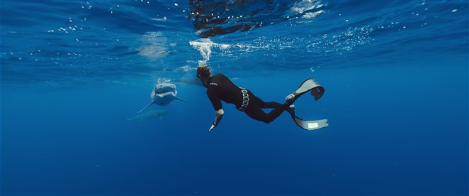 Shark Whisperer (Netflix) Photo 3 - Large