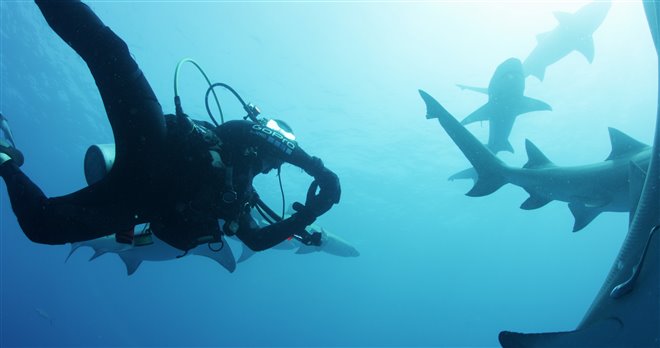 Sharkwater Extinction Photo 7 - Large