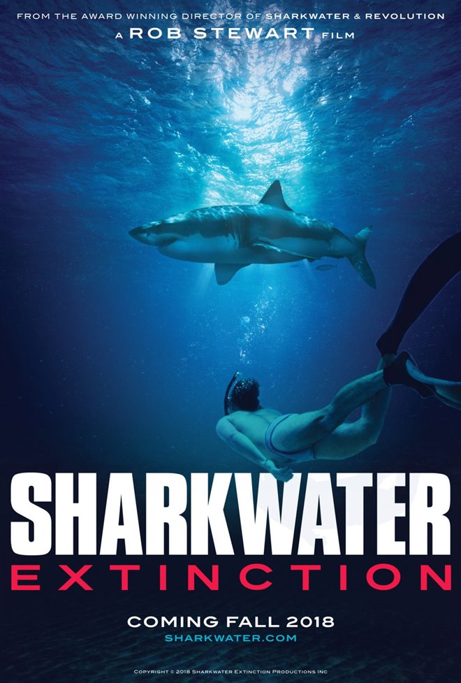 Sharkwater Extinction Photo 27 - Large