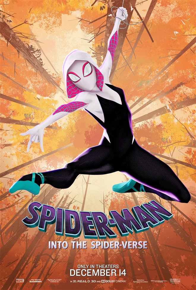 Spider-Man: Into the Spider-Verse Photo 20 - Large