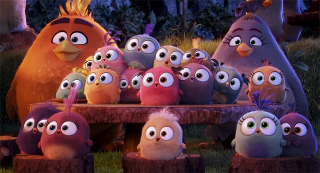 The Angry Birds Movie Photo 22 - Large