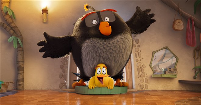 The Angry Birds Movie 3 Photo 2 - Large