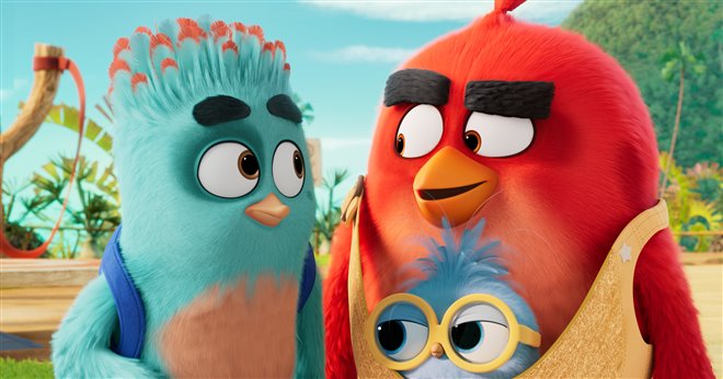The Angry Birds Movie 3 Photo 6 - Large