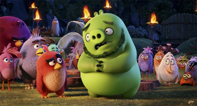 The Angry Birds Movie Photo 16 - Large