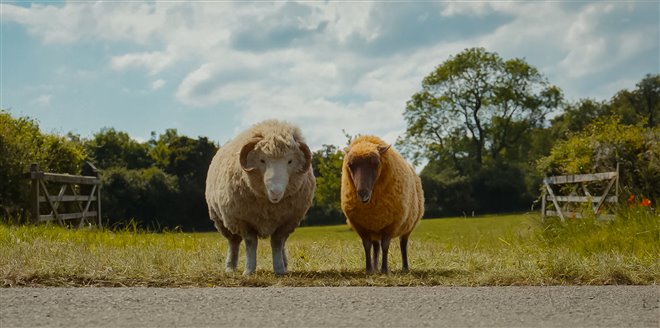 The Sheep Detectives Photo 5 - Large