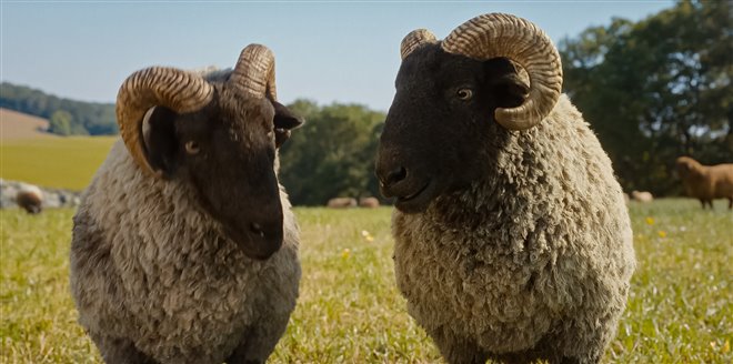 The Sheep Detectives Photo 7 - Large