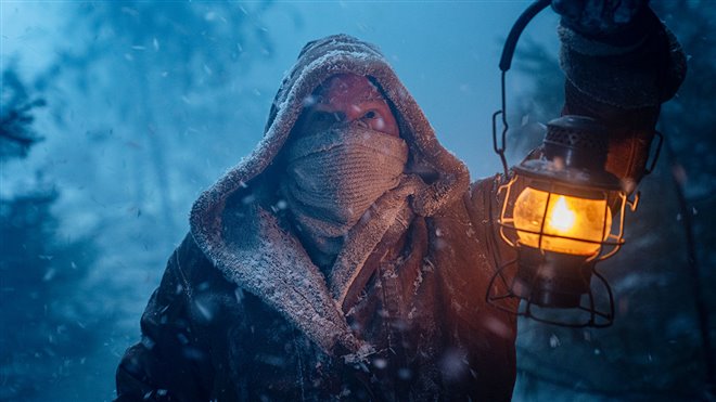 The Yeti Photo 4 - Large