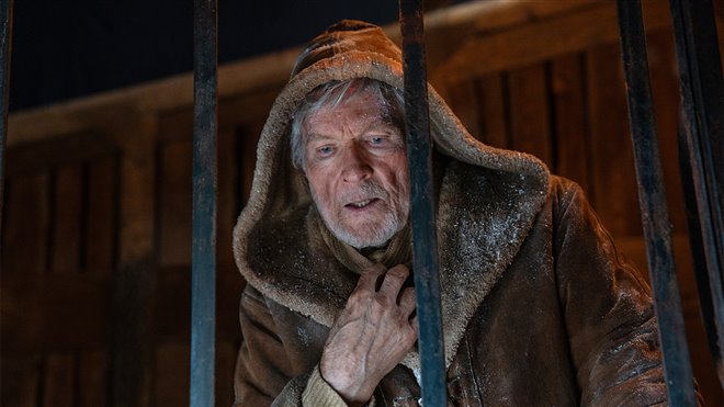 The Yeti Photo 6 - Large