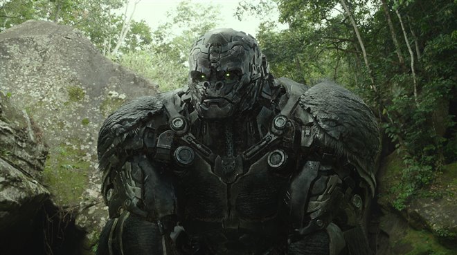 Transformers: Rise of the Beasts Photo 4 - Large