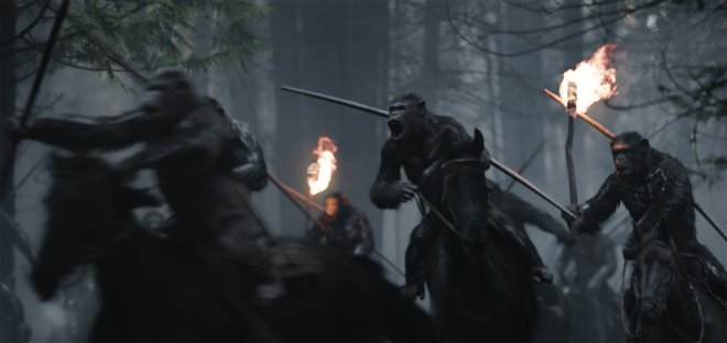 War for the Planet of the Apes Photo 6 - Large
