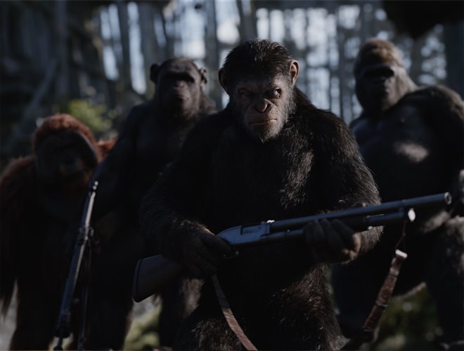 War for the Planet of the Apes Photo 8 - Large
