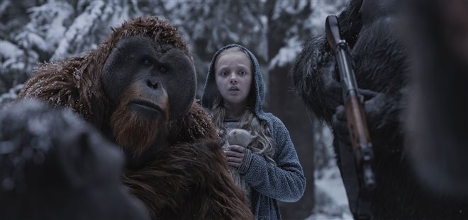 War for the Planet of the Apes Photo 10 - Large