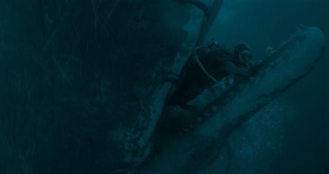 Whalefall Photo 8 - Large