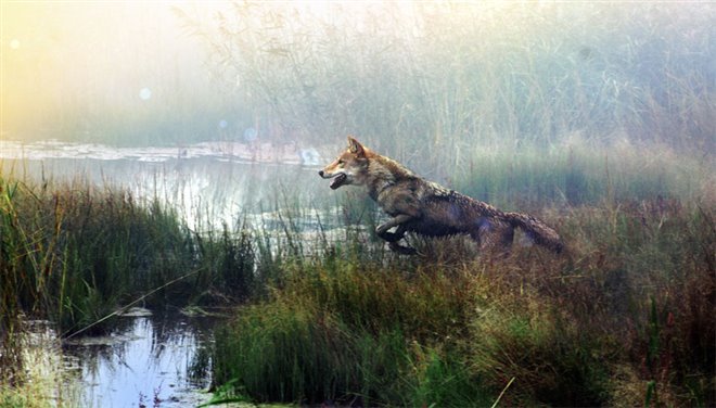 Wolf Totem Photo 1 - Large