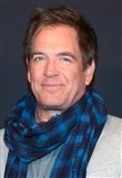 Michael Weatherly