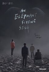 An Elephant Sitting Still Large Poster