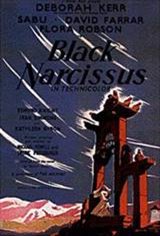 Black Narcissus Movie Poster