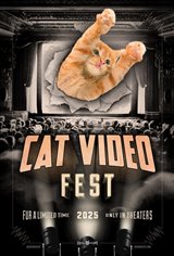 CatVideoFest 2025 Movie Poster