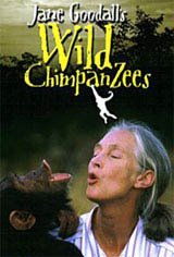 Jane Goodall's Wild Chimpanzees Movie Poster