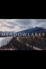 Meadowlarks Movie Poster