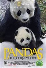 Pandas: The Journey Home 3D Movie Poster