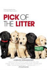 Pick of the Litter Large Poster