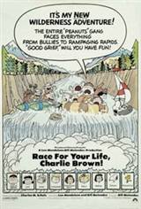 Race For Your Life Charlie Brown Movie Poster