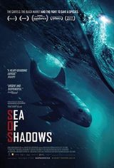 Sea of Shadows Large Poster