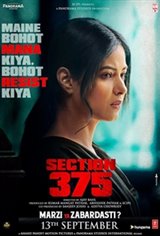 Section 375 Large Poster