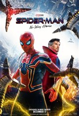 Spider-Man: No Way Home 3D Movie Poster